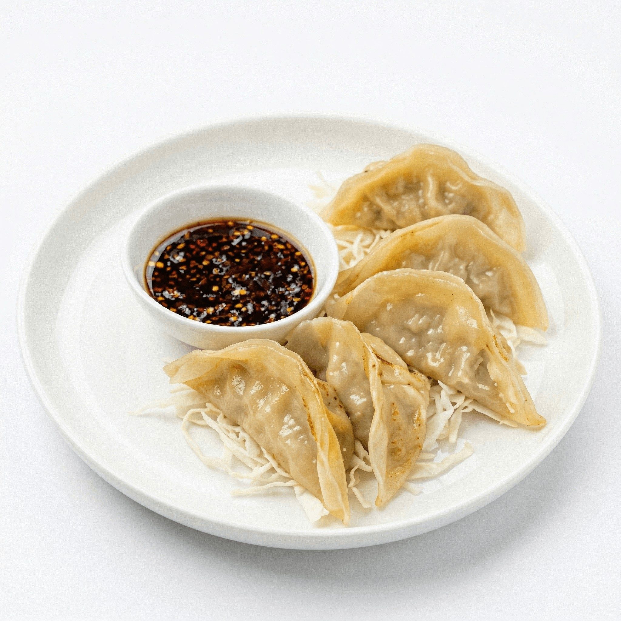 Gyoza Lunch.